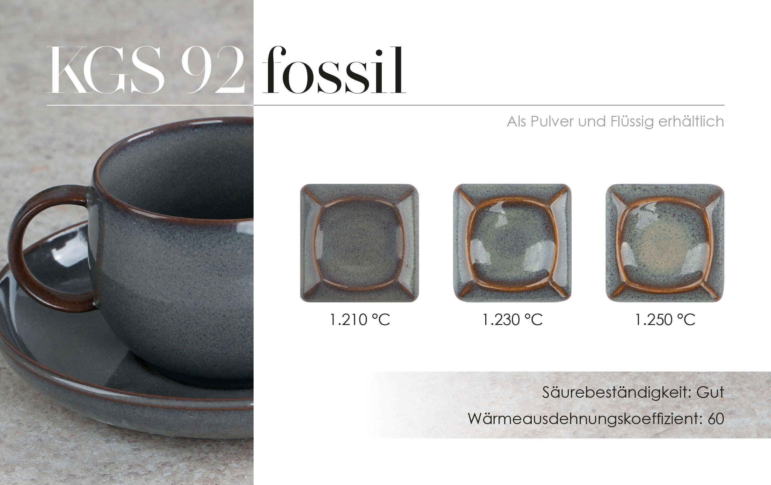 Flugblatt KGS 92 - fossil
